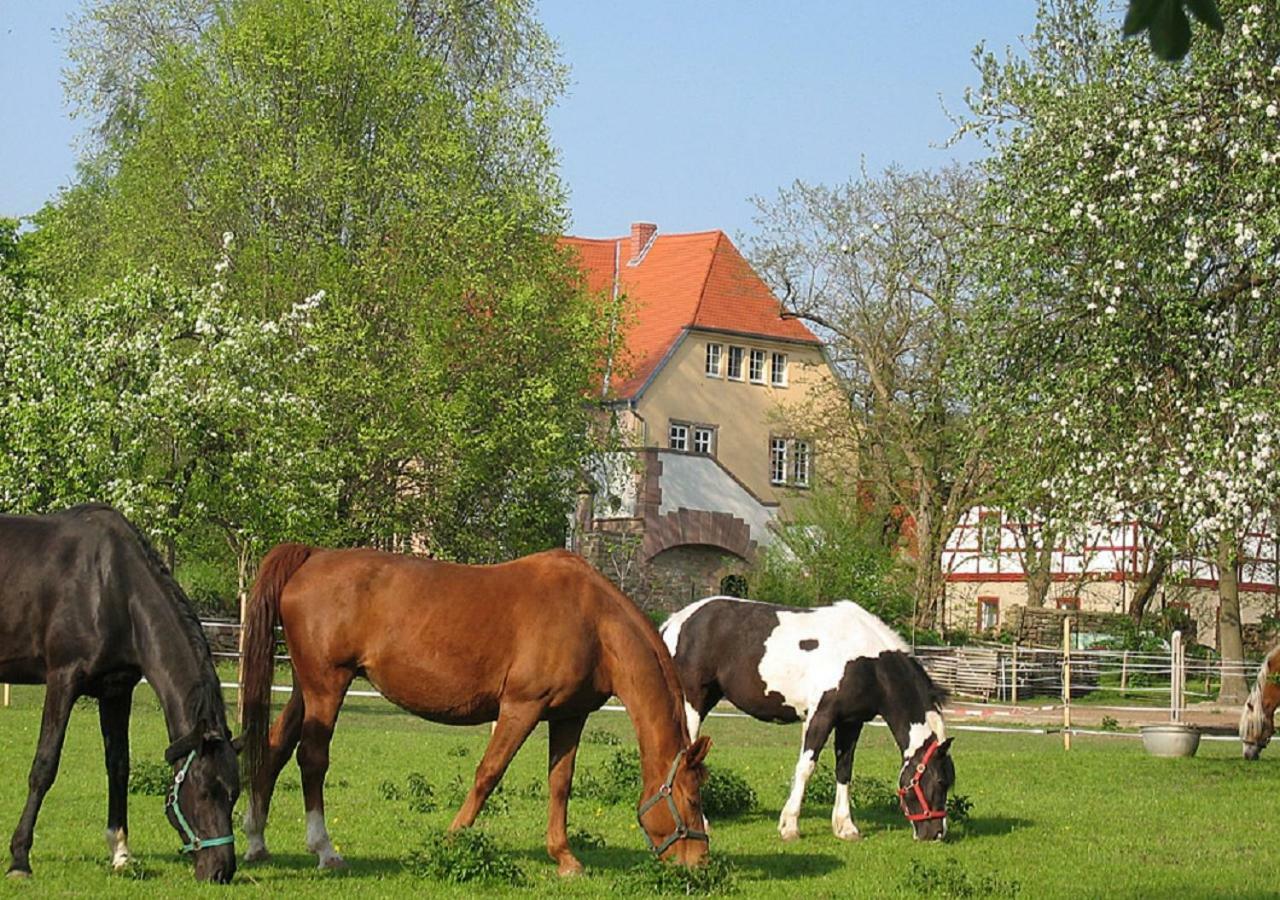 Gutshaus Von Bismarck Apartamento An der Schmucke Exterior foto